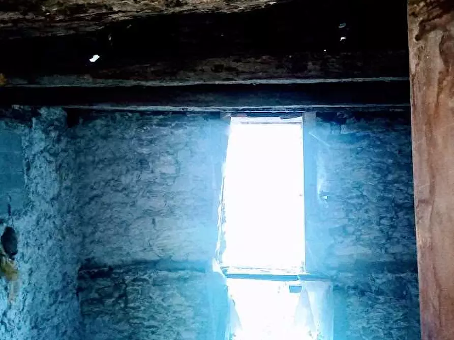 Immagine 35 di Rustico / casale in vendita  in CIMAMULERA a Piedimulera