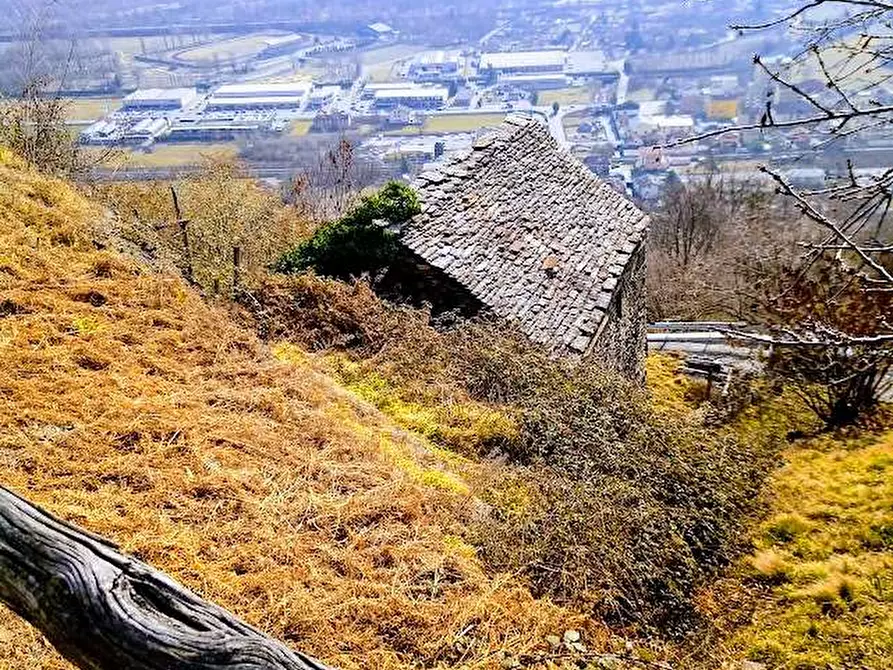 Immagine 29 di Rustico / casale in vendita  in tappia 2 a Villadossola