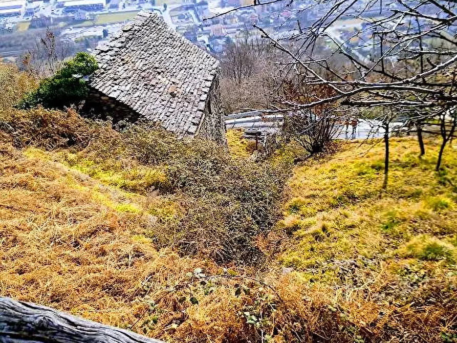 Immagine 28 di Rustico / casale in vendita  in tappia 2 a Villadossola