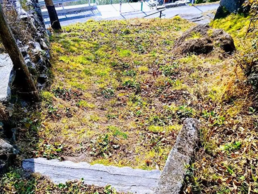 Immagine 24 di Rustico / casale in vendita  in tappia 2 a Villadossola