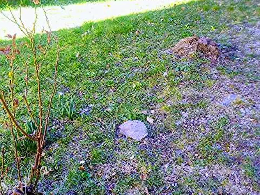 Immagine 44 di Casa indipendente in vendita  in BUTTOGNO 12 a Santa Maria Maggiore