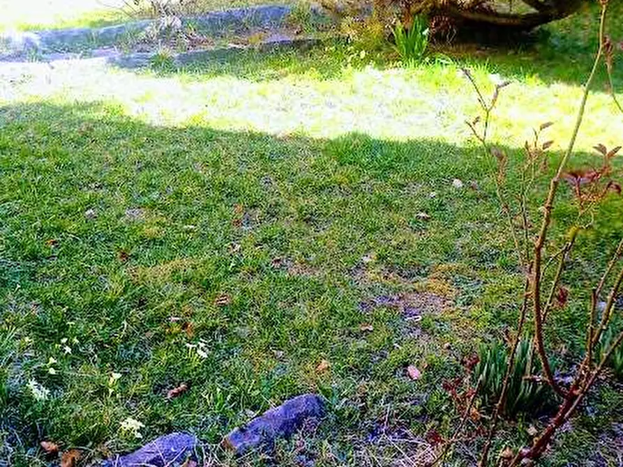 Immagine 45 di Casa indipendente in vendita  in BUTTOGNO 12 a Santa Maria Maggiore