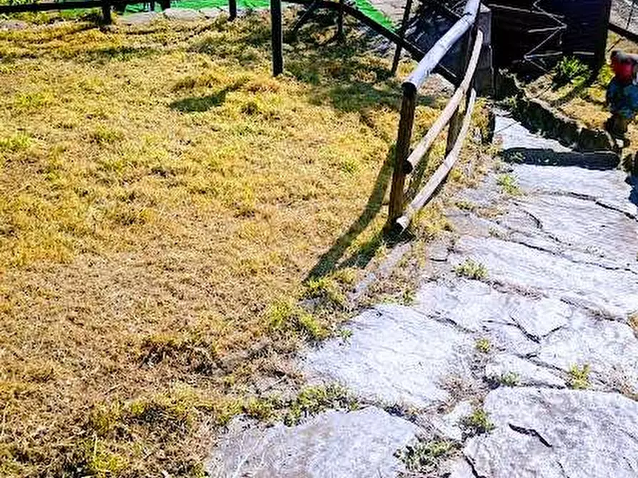 Immagine 64 di Casa indipendente in vendita  in SCAREO a Aurano