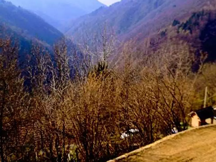 Immagine 73 di Casa indipendente in vendita  in SCAREO a Aurano