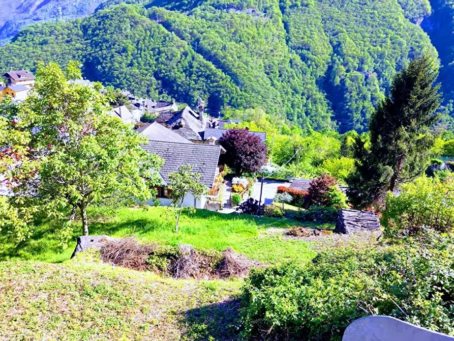 Immagine 21 di Terreno edificabile in vendita  in loc.sangiuseppe a Piedimulera