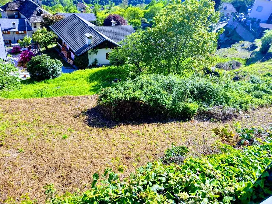 Immagine 20 di Terreno edificabile in vendita  in loc.sangiuseppe a Piedimulera
