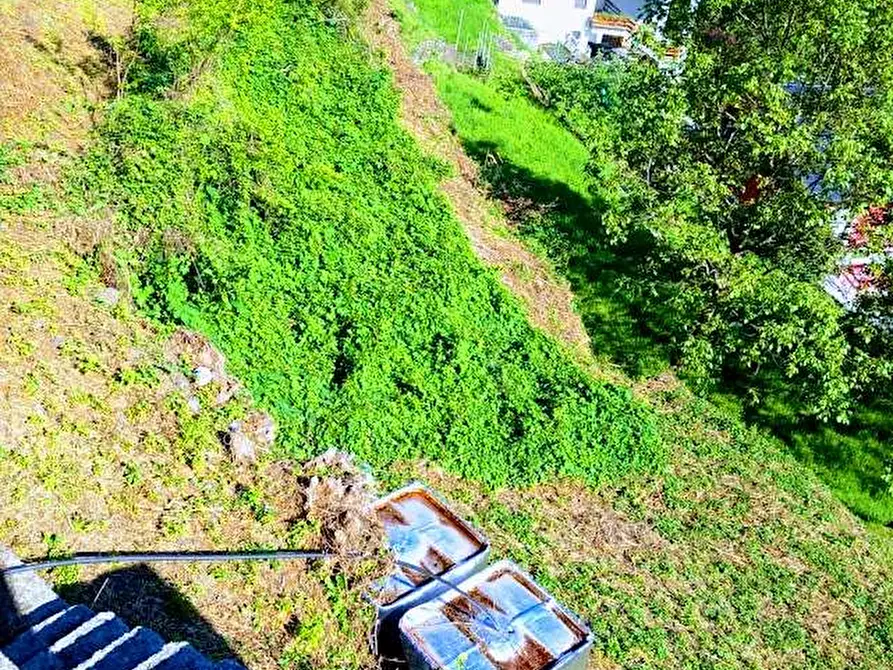 Immagine 26 di Terreno edificabile in vendita  in loc.sangiuseppe a Piedimulera