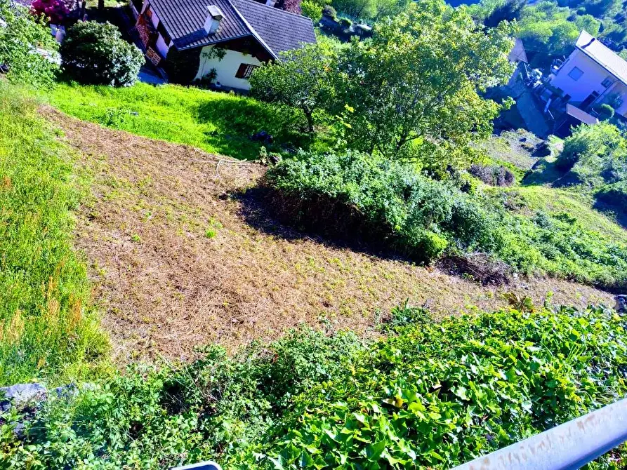 Immagine 27 di Terreno edificabile in vendita  in loc.sangiuseppe a Piedimulera