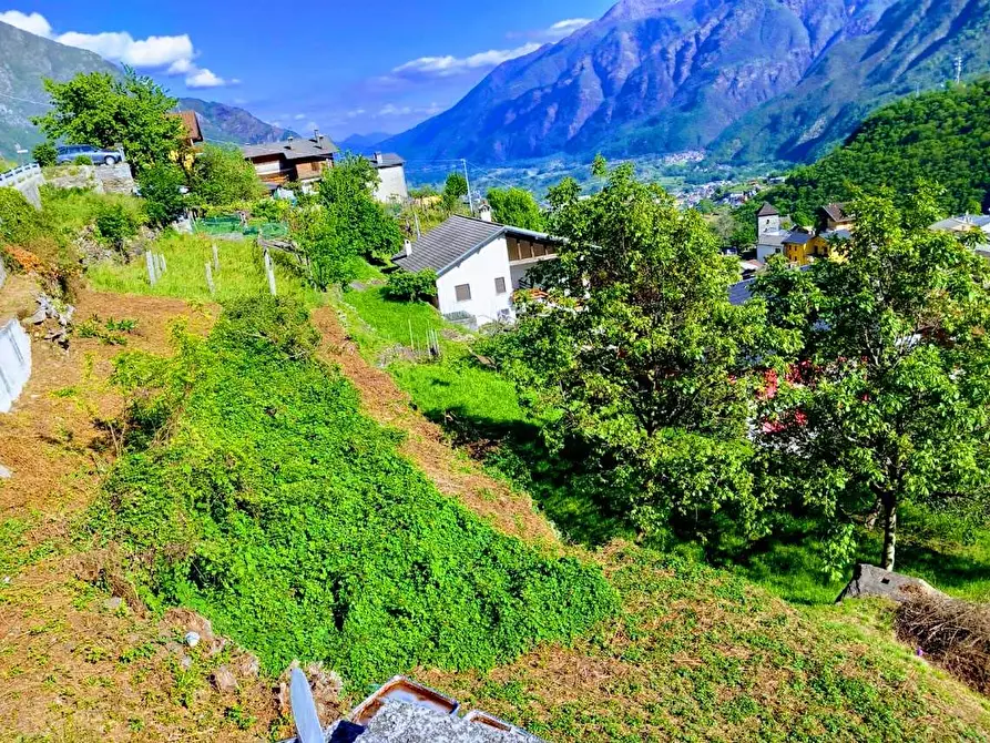 Immagine 23 di Terreno edificabile in vendita  in loc.sangiuseppe a Piedimulera