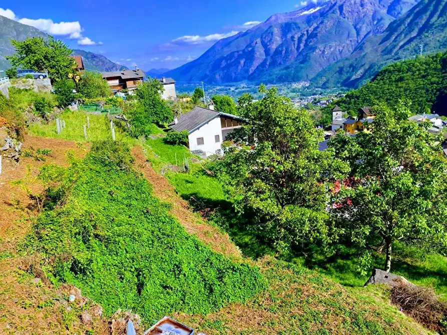 Immagine 22 di Terreno edificabile in vendita  in loc.sangiuseppe a Piedimulera