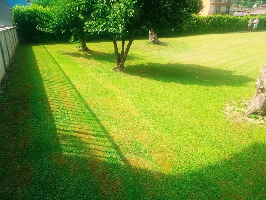Immagine 2 di Terreno edificabile in vendita  in carlo pisacane a Villadossola