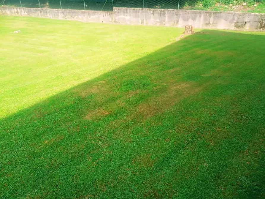 Immagine 3 di Terreno edificabile in vendita  in carlo pisacane a Villadossola