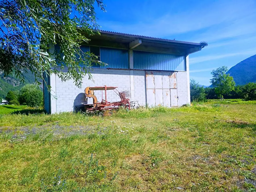 Immagine 6 di Capannone industriale in vendita  in VIA PIEDIMULERA a Pieve Vergonte