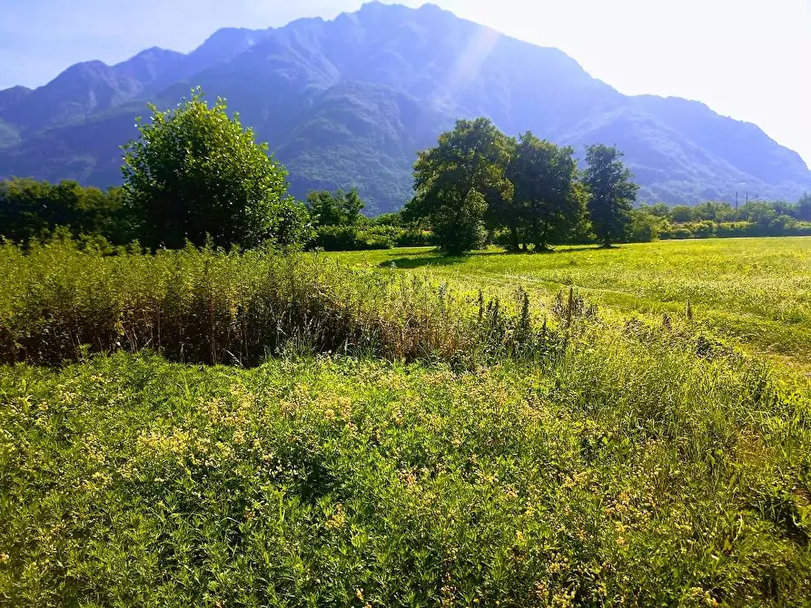 Immagine 15 di Capannone industriale in vendita  in VIA PIEDIMULERA a Pieve Vergonte