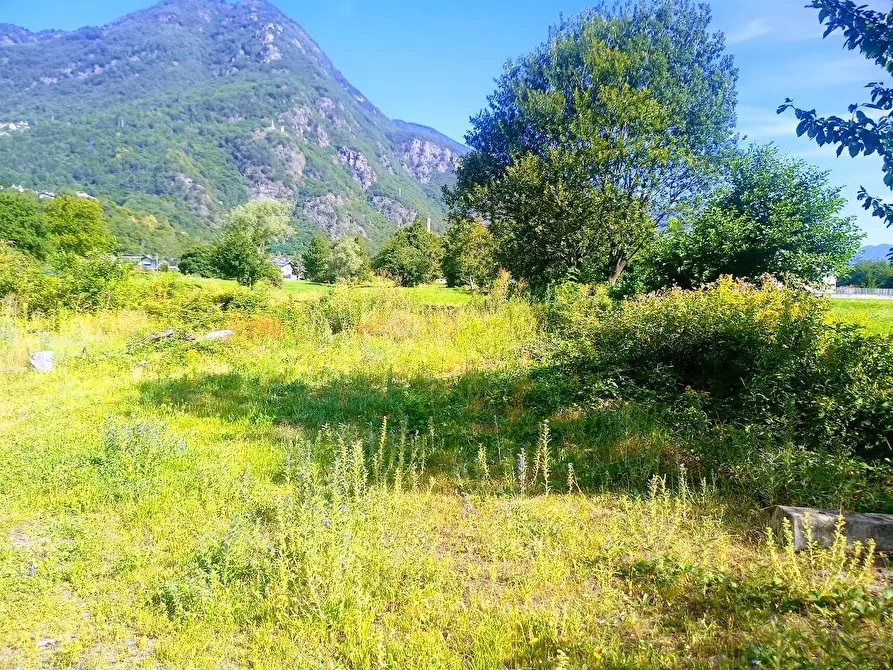 Immagine 7 di Capannone industriale in vendita  in VIA PIEDIMULERA a Pieve Vergonte