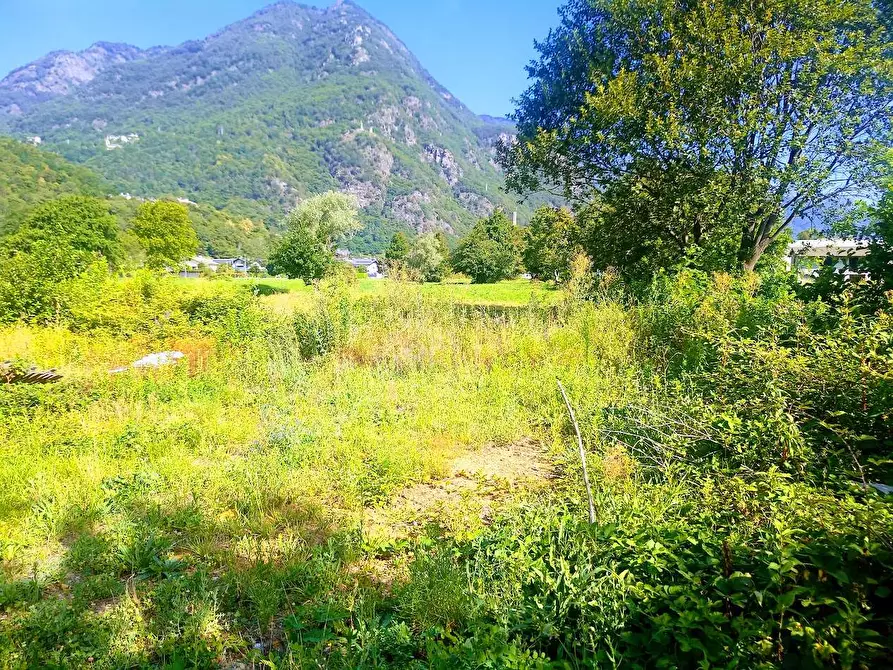 Immagine 16 di Capannone industriale in vendita  in VIA PIEDIMULERA a Pieve Vergonte