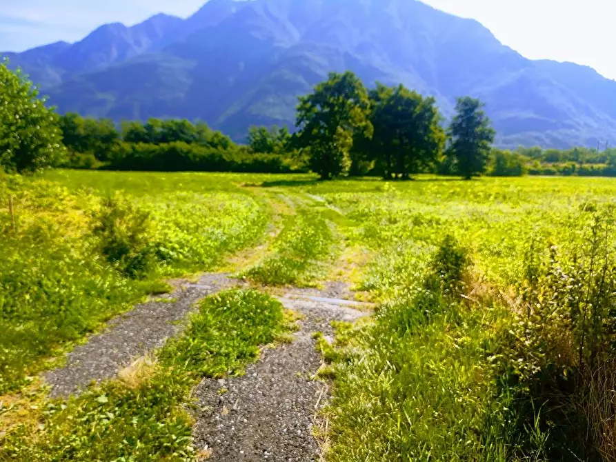 Immagine 19 di Capannone industriale in vendita  in VIA PIEDIMULERA a Pieve Vergonte