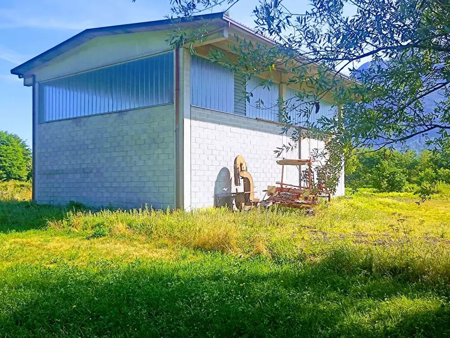 Immagine 1 di Capannone industriale in vendita  in VIA PIEDIMULERA a Pieve Vergonte