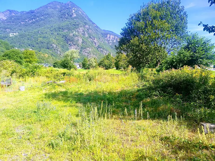 Immagine 33 di Capannone industriale in vendita  in VIA PIEDIMULERA a Pieve Vergonte