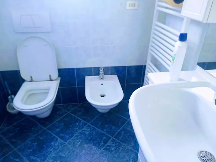 Immagine 53 di Stabile in vendita  in SS337 7 a Druogno