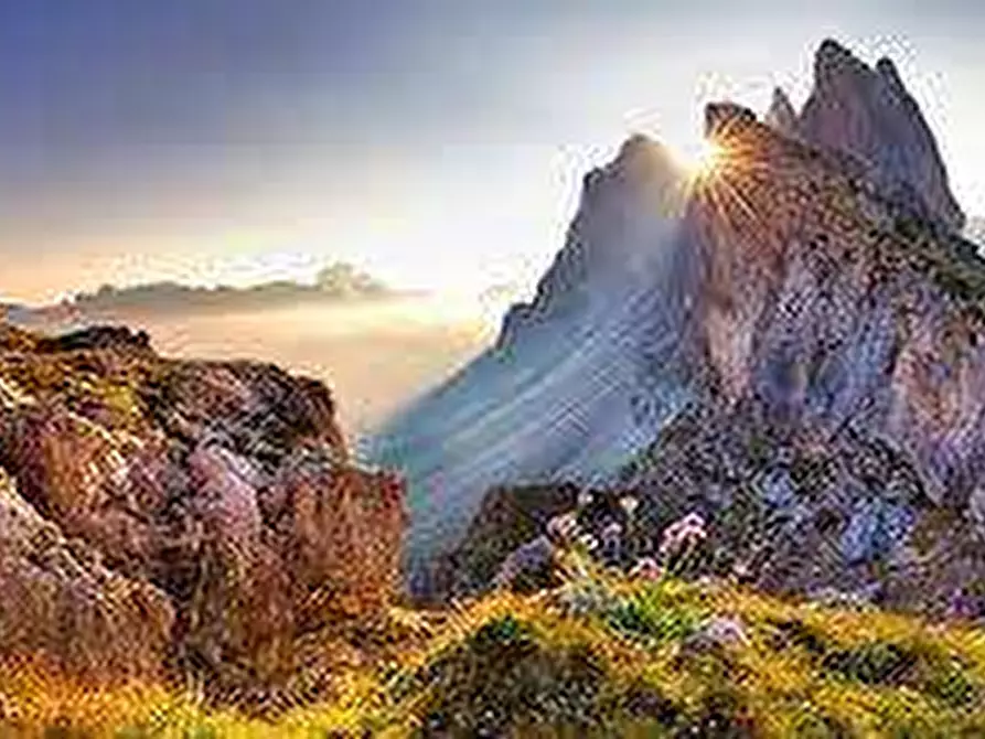 Immagine 21 di Appartamento in vendita  in VIA roma  14 a Piedimulera