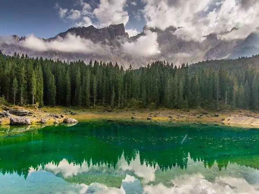 Immagine 22 di Baita in vendita  in centro 10 a Premosello-Chiovenda