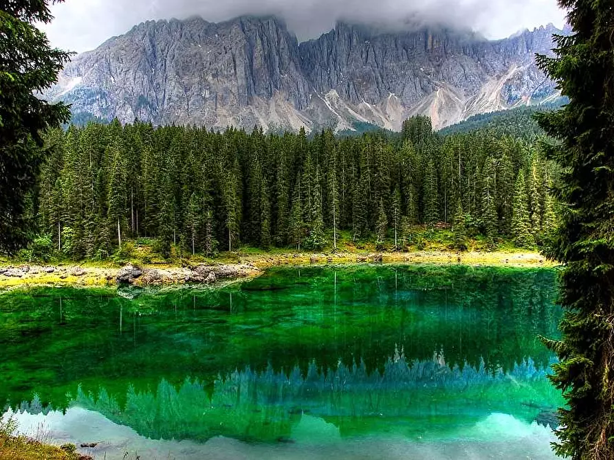 Immagine 11 di Rustico / casale in vendita  a Premosello-Chiovenda