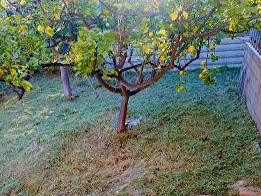 Immagine 12 di Casa indipendente in vendita  in contrada cardara snc a Brancaleone