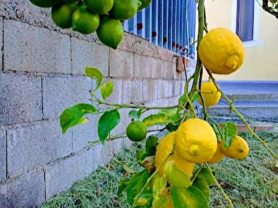 Immagine 26 di Casa indipendente in vendita  in contrada cardara snc a Brancaleone
