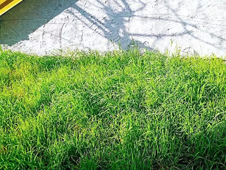 Immagine 46 di Casa indipendente in vendita  in RANCALDINA a Masera