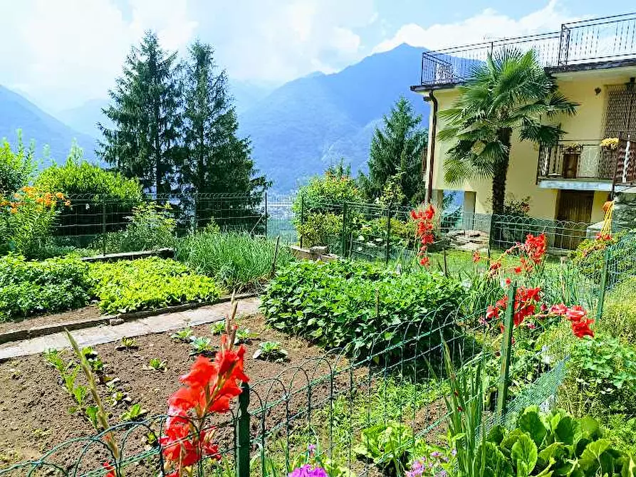 Immagine 52 di Casa indipendente in vendita  in PIAZZA CHIESA a Beura-Cardezza
