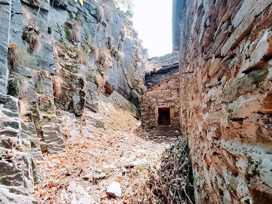 Immagine 32 di Casa indipendente in vendita  in CUZZEGO a Beura-Cardezza