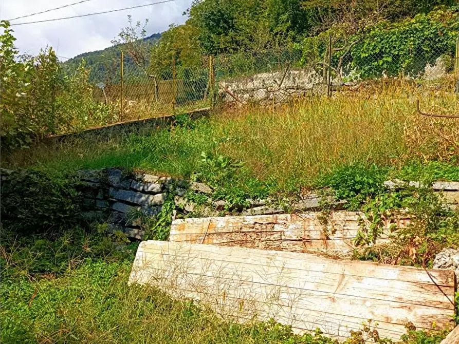 Immagine 30 di Rustico / casale in vendita  in sale a Varzo