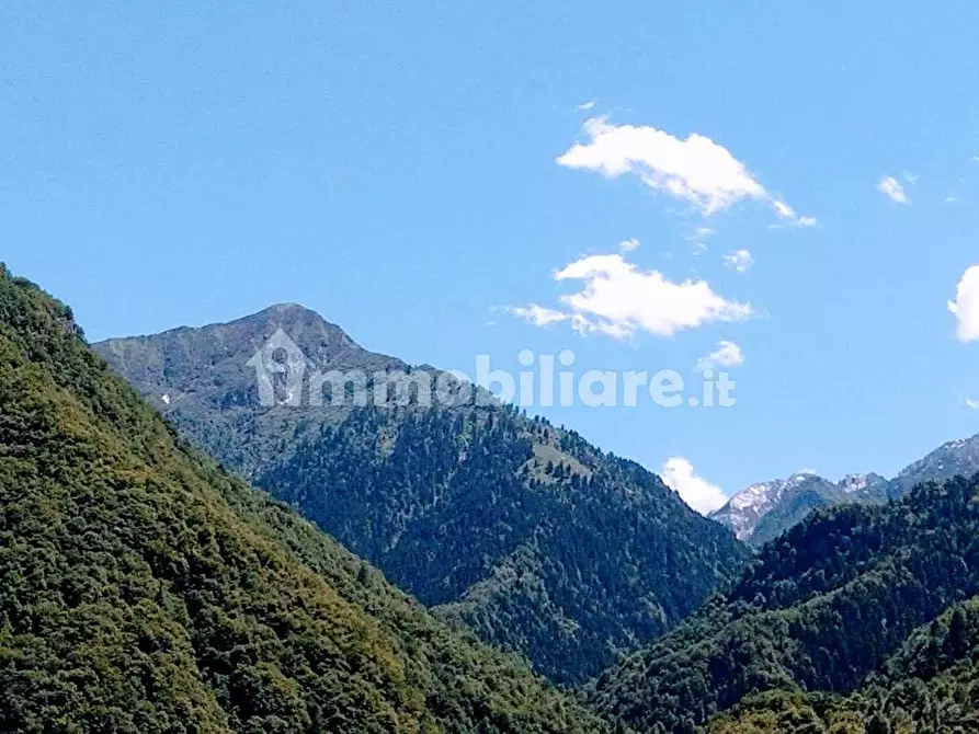 Immagine 25 di Casa indipendente in vendita  in VIGGINO a Calasca-Castiglione
