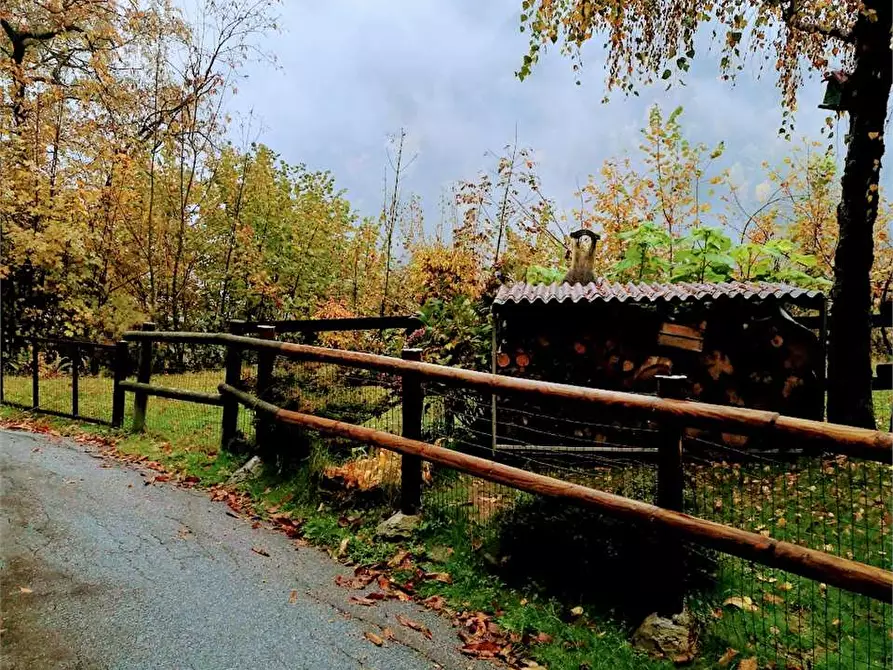 Immagine 30 di Appartamento in vendita  in  MONTEROSA a Ceppo Morelli