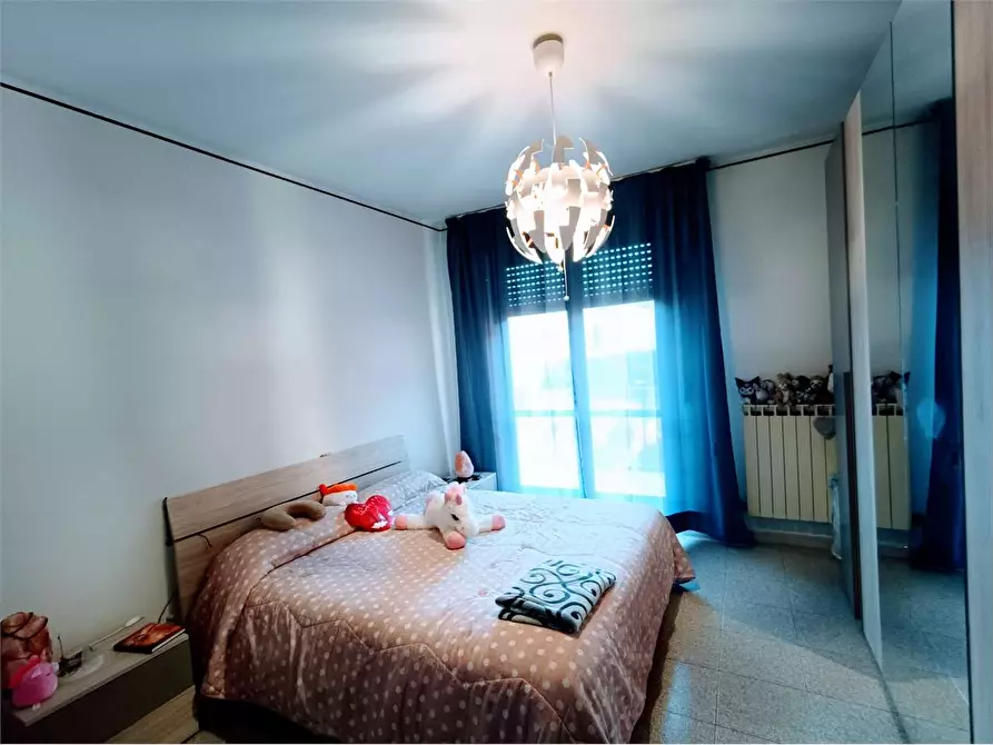 Immagine 31 di Appartamento in vendita  in novello bianchi 114 a Villadossola