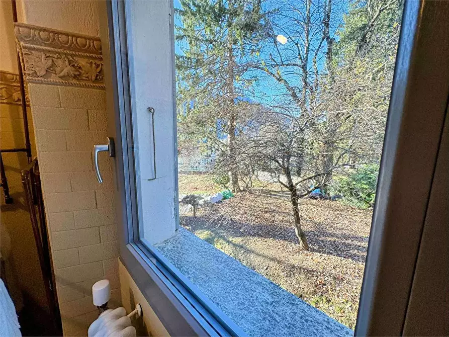 Immagine 57 di Villa in vendita  in centro a Craveggia