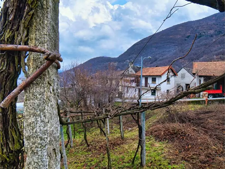 Immagine 24 di Porzione di casa in vendita  in  Via Tessera  7 a Trontano