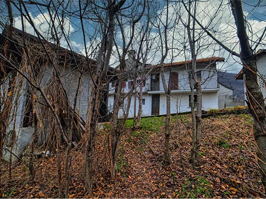 Immagine 18 di Porzione di casa in vendita  in  Via Tessera  7 a Trontano