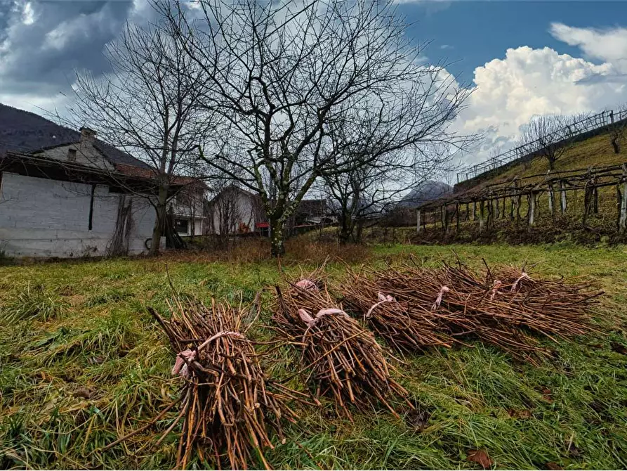 Immagine 19 di Porzione di casa in vendita  in  Via Tessera  7 a Trontano