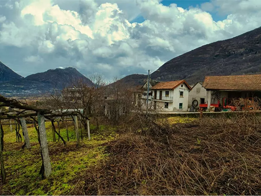 Immagine 22 di Porzione di casa in vendita  in  Via Tessera  7 a Trontano