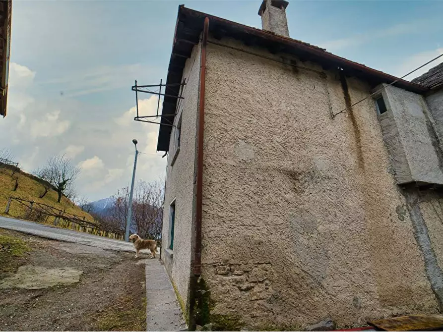 Immagine 25 di Porzione di casa in vendita  in  Via Tessera  7 a Trontano