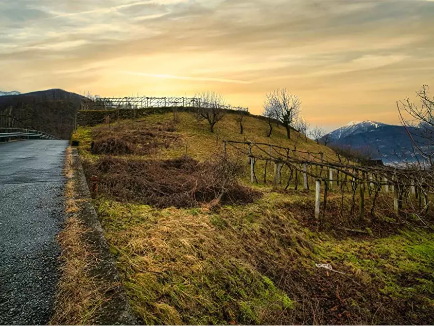 Immagine 26 di Porzione di casa in vendita  in  Via Tessera  7 a Trontano