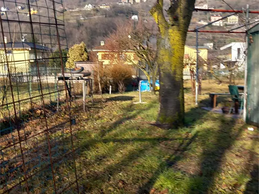 Immagine 24 di Terreno agricolo in vendita  in CASA DELLE RANE a Domodossola