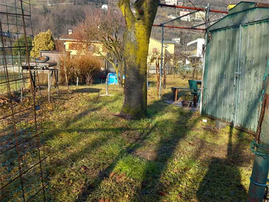 Immagine 20 di Terreno agricolo in vendita  in CASA DELLE RANE a Domodossola