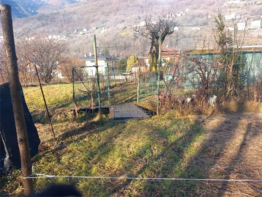 Immagine 18 di Terreno agricolo in vendita  in CASA DELLE RANE a Domodossola