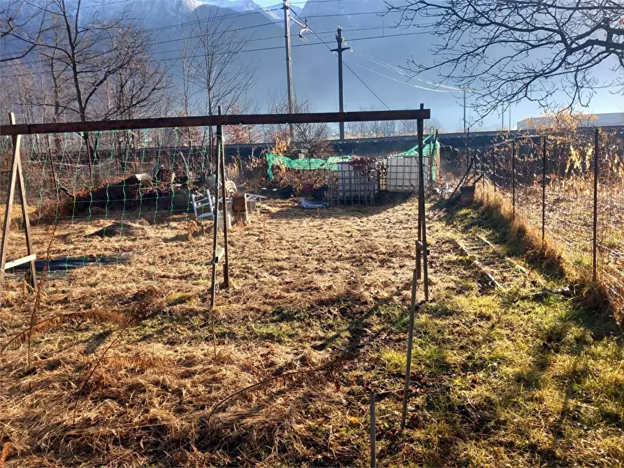 Immagine 19 di Terreno agricolo in vendita  in CASA DELLE RANE a Domodossola