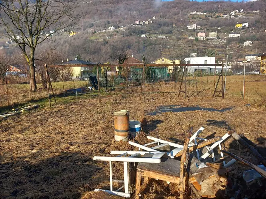 Immagine 5 di Terreno agricolo in vendita  in CASA DELLE RANE a Domodossola