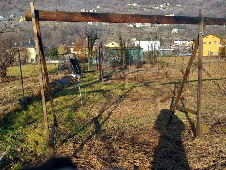 Immagine 4 di Terreno agricolo in vendita  in CASA DELLE RANE a Domodossola