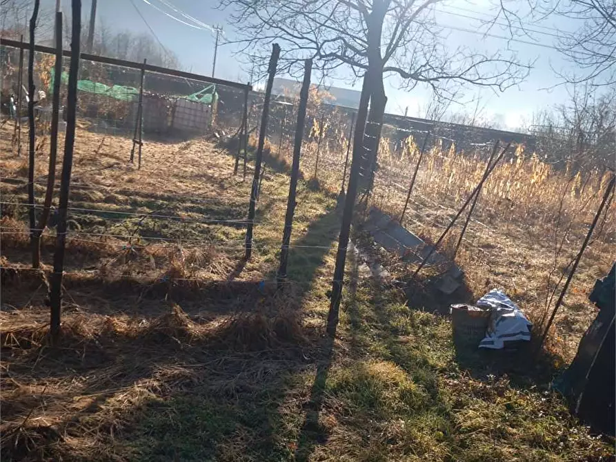 Immagine 17 di Terreno agricolo in vendita  in CASA DELLE RANE a Domodossola